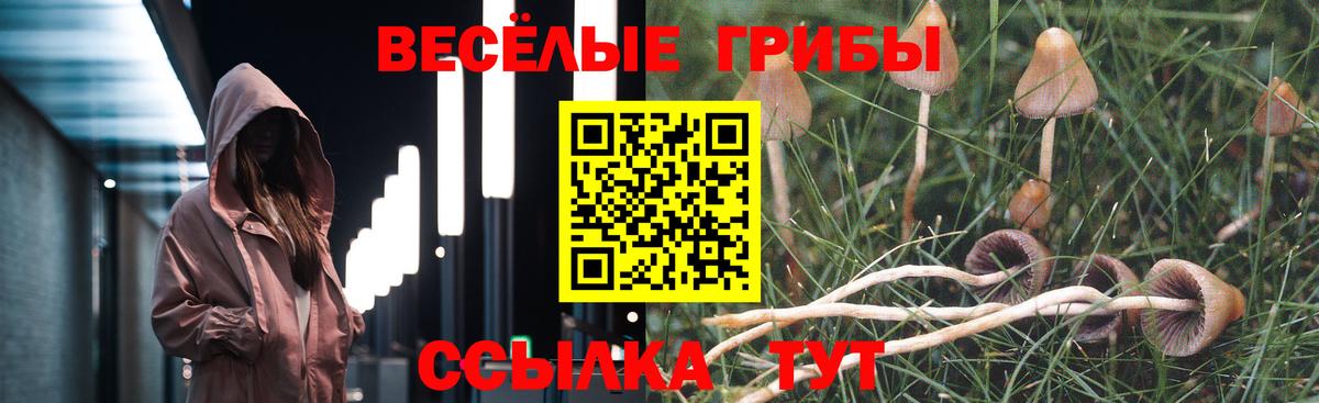 Сафоново  Псилоцибиновые грибы Psilocybe  Вход с VPN 